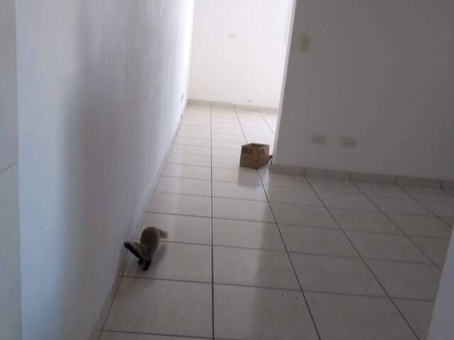 Sobrado para Venda em Santo André - 4