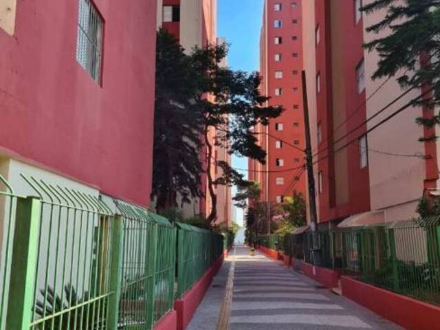 #5336 - Apartamento Padrão para Venda em São Bernardo do Campo - SP - 3