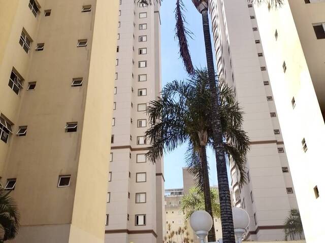 Apartamento Padrão para Venda em Santo André - 2