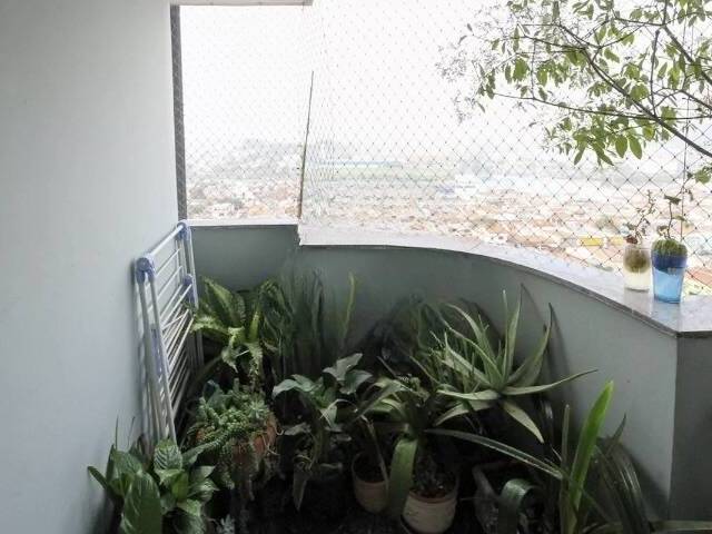 Apartamento Padrão para Venda em São Paulo - 5