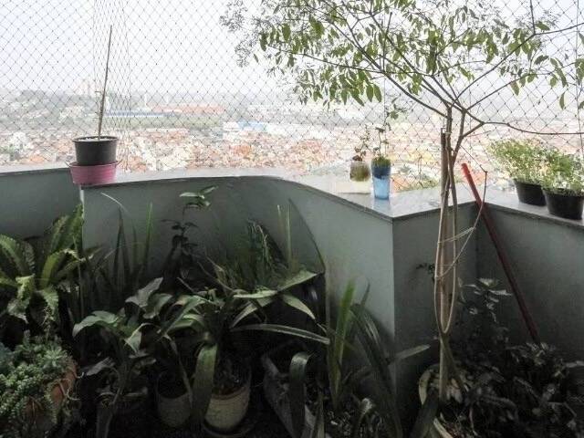 Apartamento Padrão para Venda em São Paulo - 4