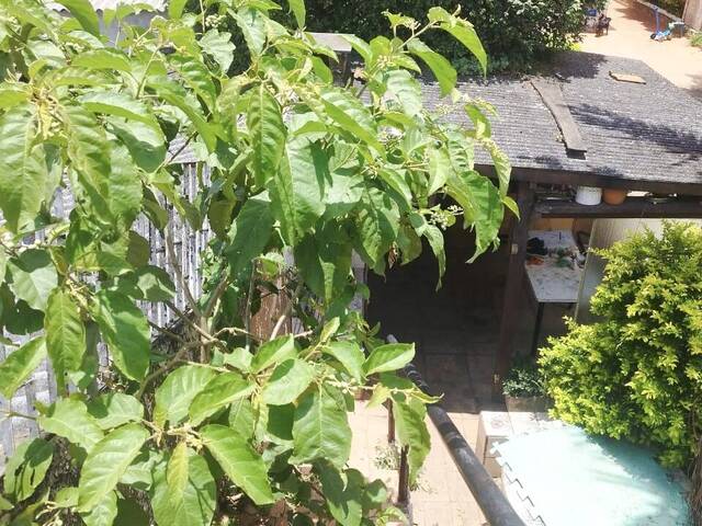 Terreno para Venda em Santo André - 5