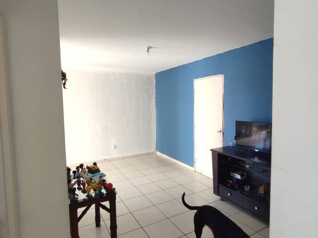 #8287 - Apartamento Padrão para Venda em Santo André - SP - 3