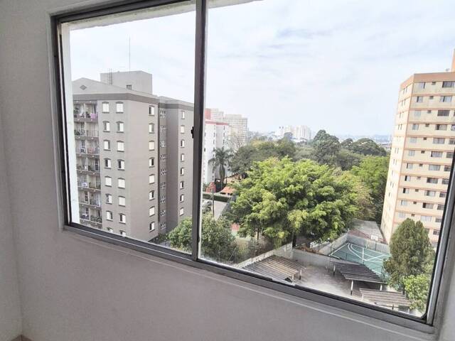 #8336 - Apartamento Padrão para Venda em São Paulo - SP - 3