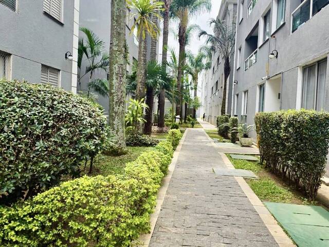 #8402 - Apartamento Padrão para Venda em Santo André - SP - 1