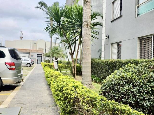 #8402 - Apartamento Padrão para Venda em Santo André - SP - 3