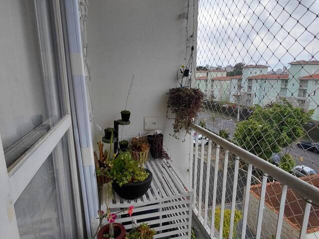 #9123 - Apartamento Padrão para Venda em Santo André - SP - 3