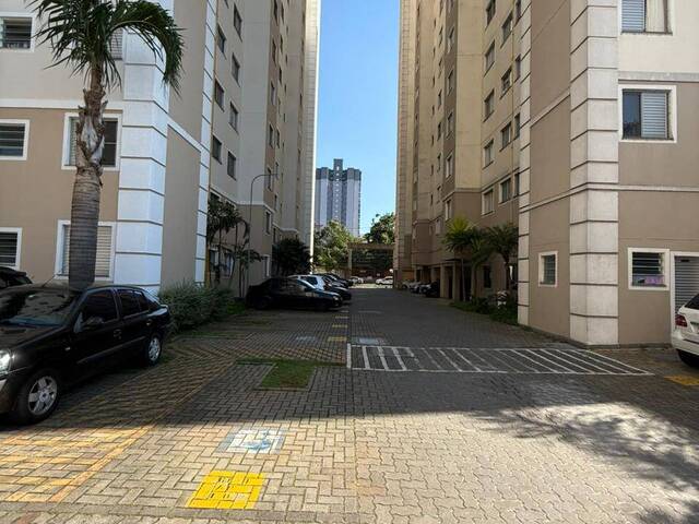 #9274 - Apartamento Padrão para Venda em Santo André - SP - 3